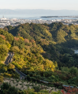 清水区山原_1927.jpg