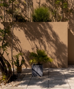 Studio Canal Tan_0023.jpg